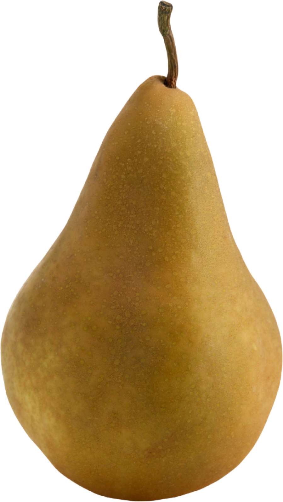 Pear - Bosc/Brown SINGLES at ($1.99kg)