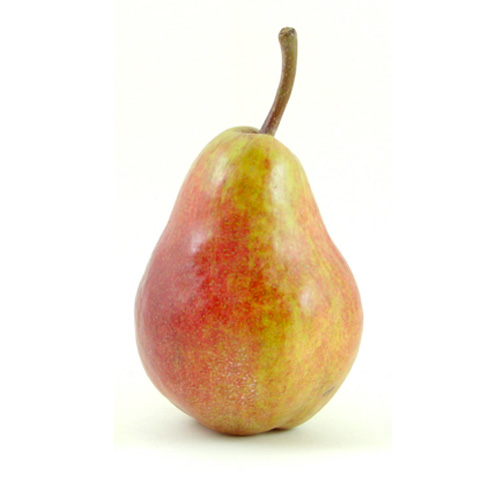 Pear - Corella SINGLES at ($3.99kg)